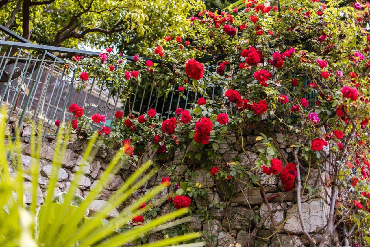 Ascheri Country House - Grimaldi, Ventimiglia Villa Exterior foto